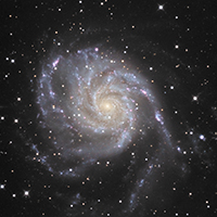 M101-RC10.jpg