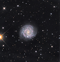 NGC3184-LRGB-Final.jpg
