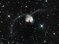 NGC4038-Chilescope.jpg