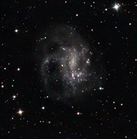 NGC4395-Final.jpg
