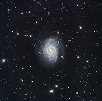 NGC4535-Final.jpg