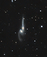 NGC4676.jpg