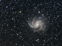NGC6946-Final.jpg