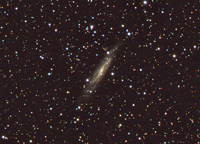 NGC7640-Final.jpg
