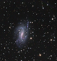 NGC925-Final.jpg