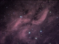 X-nebula-final.jpg
